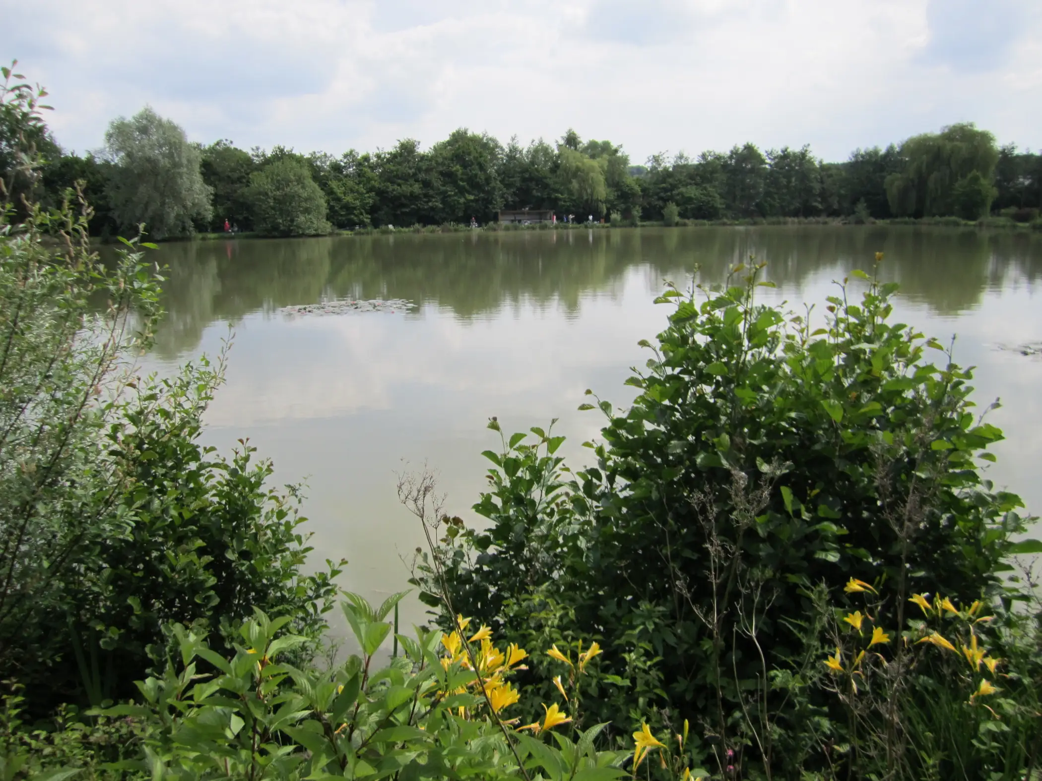 Cottage for 6 people in Chimay Chalet de l’Etang du Marteau